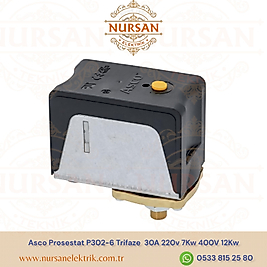 Asco Prosestat P302-6 Trifaze  30A 220v 7Kw 400V 12Kw