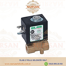 OLAB 2 YOLLU SELENOİD VALF KAHVE MAKİNESI