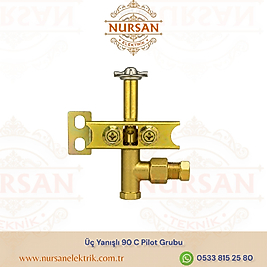 Üç Yanışlı 90 C Pilot Grubu