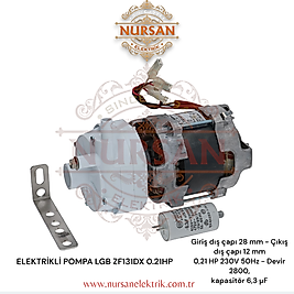 Lgb-Fır ELEKTRİKLİ POMPA LGB ZF131DX 0.21HP