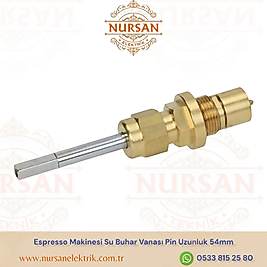 Espresso Makinesi Su Buhar Vanası Pin Uzunluk 54mm