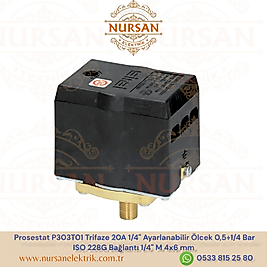 Prosestat P303T01 Trifaze 20A 1/4" Ayarlanabilir Ölcek 0,5÷1/4 Bar  ISO 228G Bağlantı 1/4" M 4x6 mm