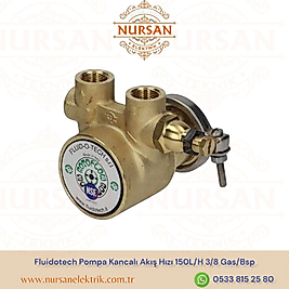 Fluidotech Pompa Kancalı Akış Hızı 150L/H 3/8 Gas/Bsp